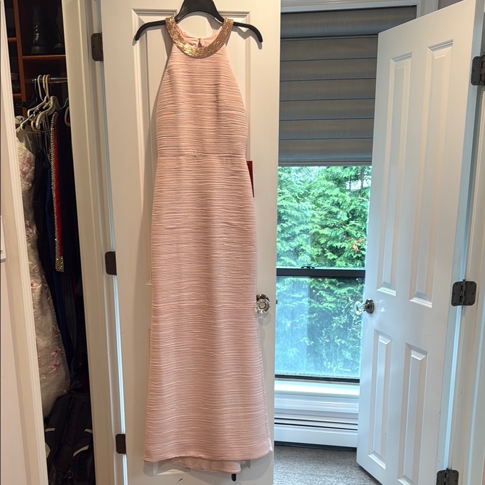 Carmen Marc Valvo Blush Backless Gown